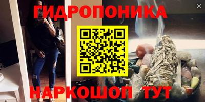стаф Бузулук