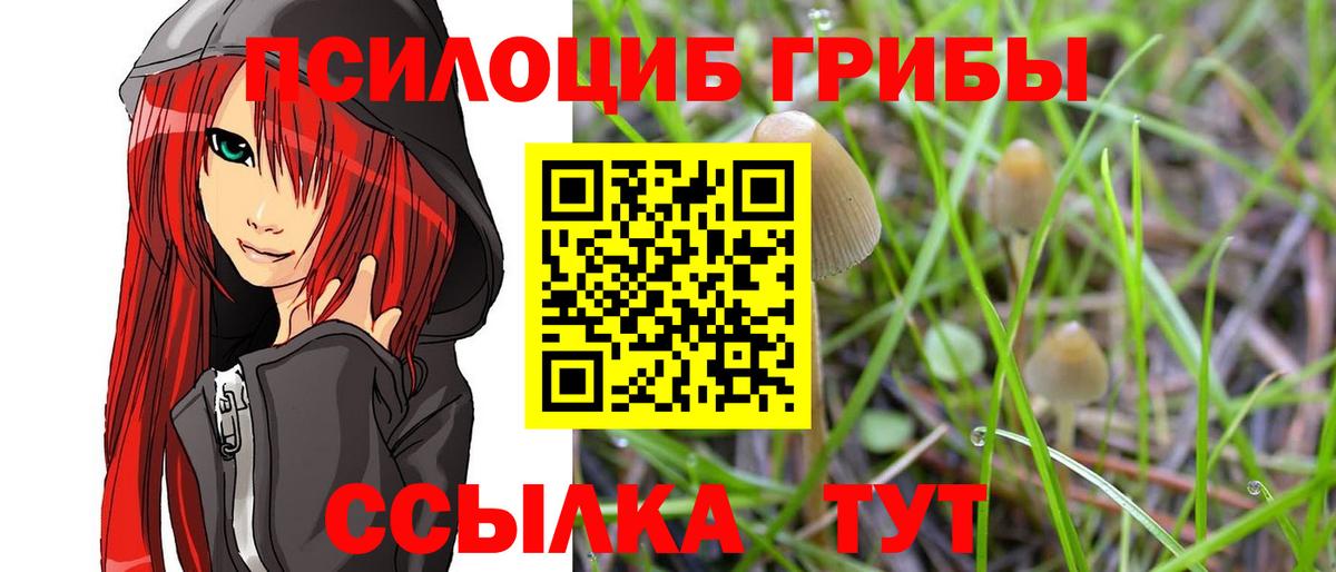 Псилоцибиновые грибы прущие грибы  Вход с VPN  Ярцево 
